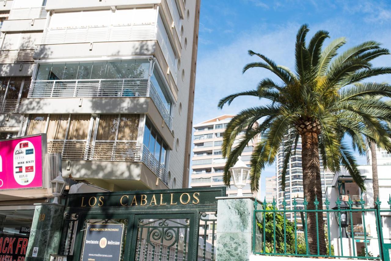 My Sweet Blue Apartment Benidorm Eksteriør billede